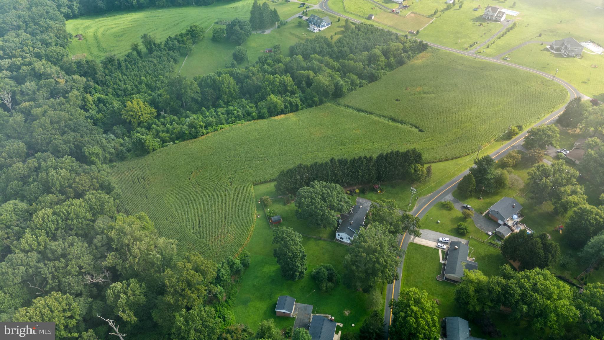 2016 Durham Road Fallston, MD 21047 - Photo 30 of 43 a view of a garden