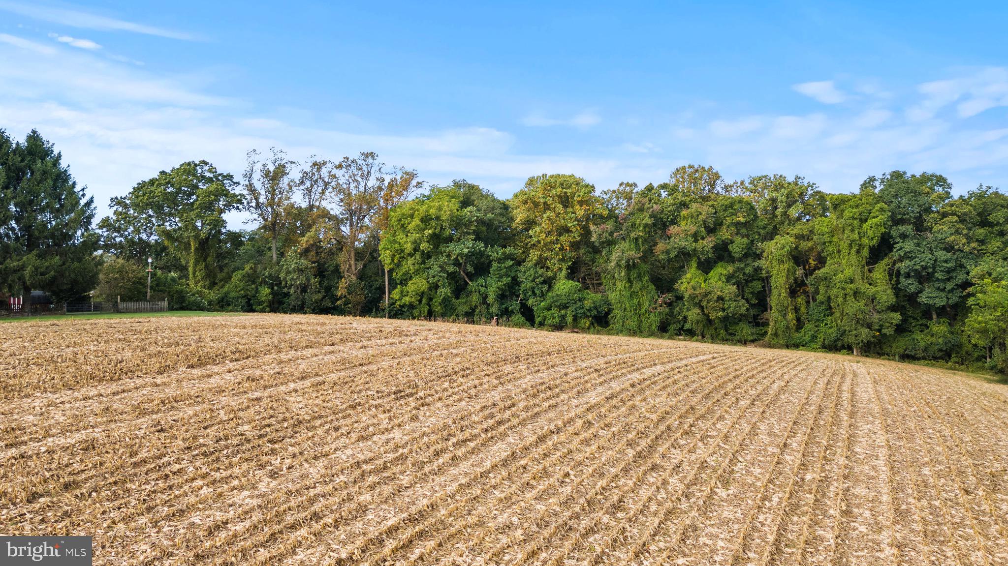 2016 Durham Road Fallston, MD 21047 - Photo 5 of 43 a view of outdoor space with mountain view