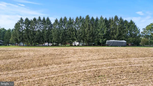 a view of basketball court