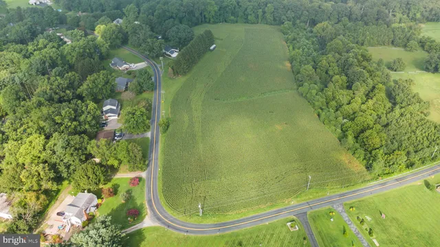 a view of a field with an trees