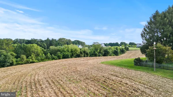 a view of a dry yard with trees in the background