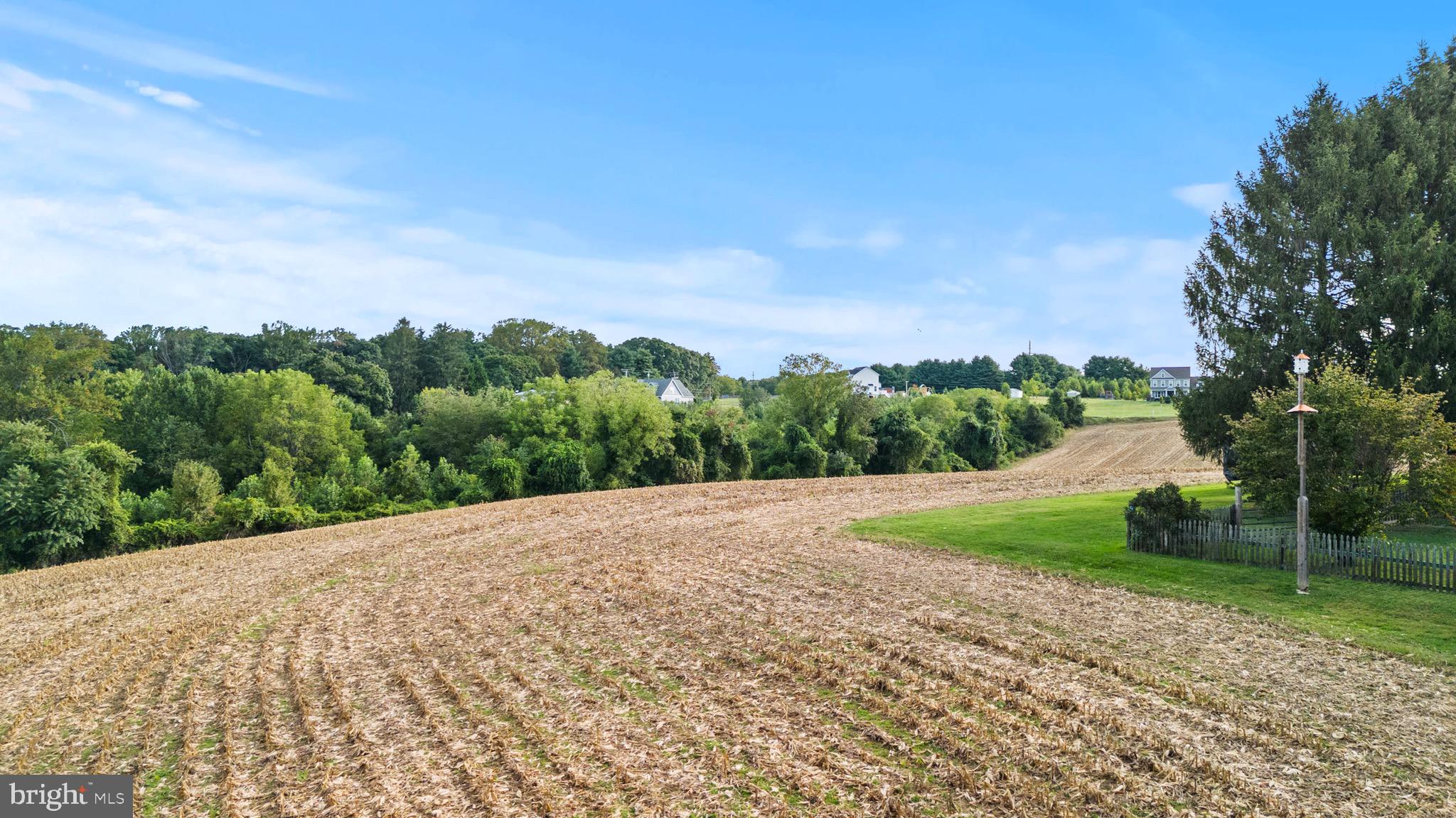 2016 Durham Road Fallston, MD 21047 - Photo 10 of 43 a view of a field with an trees