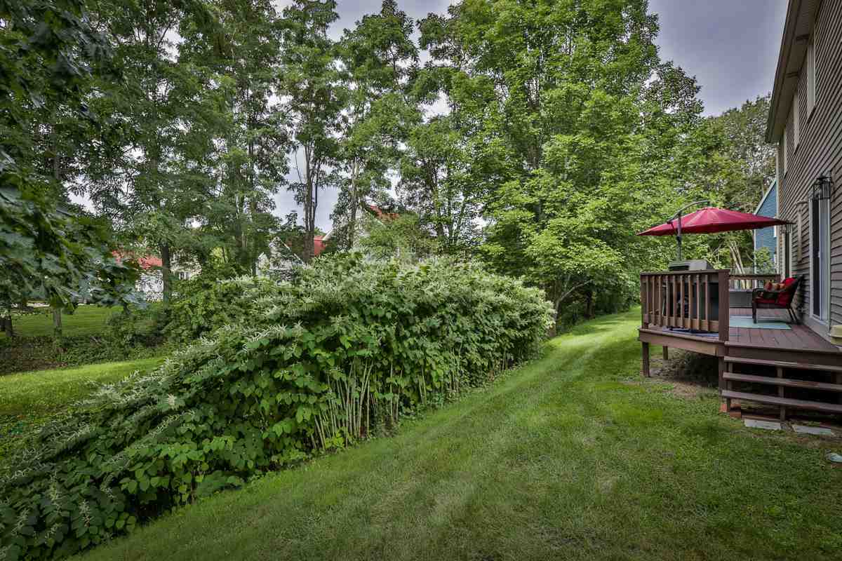 2 Rye Place Nashua, NH 03063 - Photo 5 of 34 Gallery Image 5