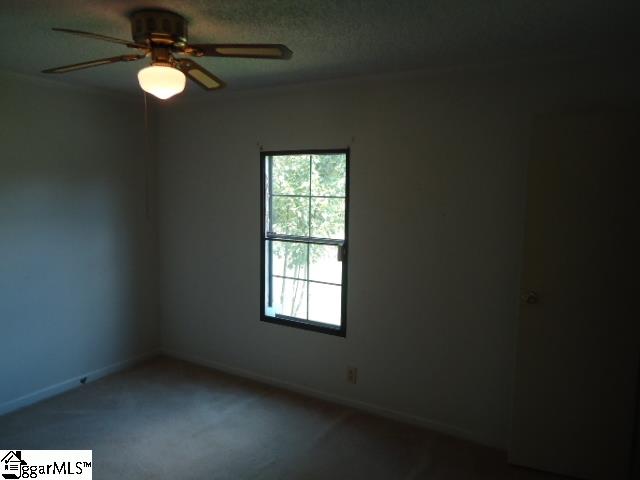 301 Sweetwater Road Fountain Inn, SC 29644 - Photo 22 of 30