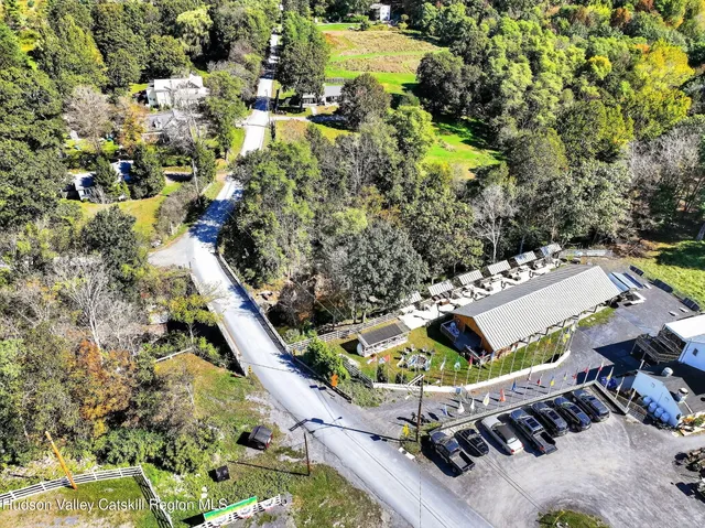 a view of a garden with plants
