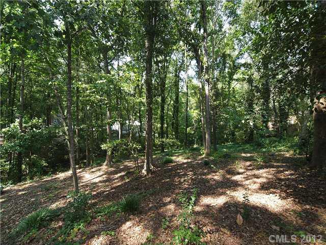 1908 Carmel Ridge Road Charlotte, NC 28226 - Photo 15 of 16 Gallery Image 15