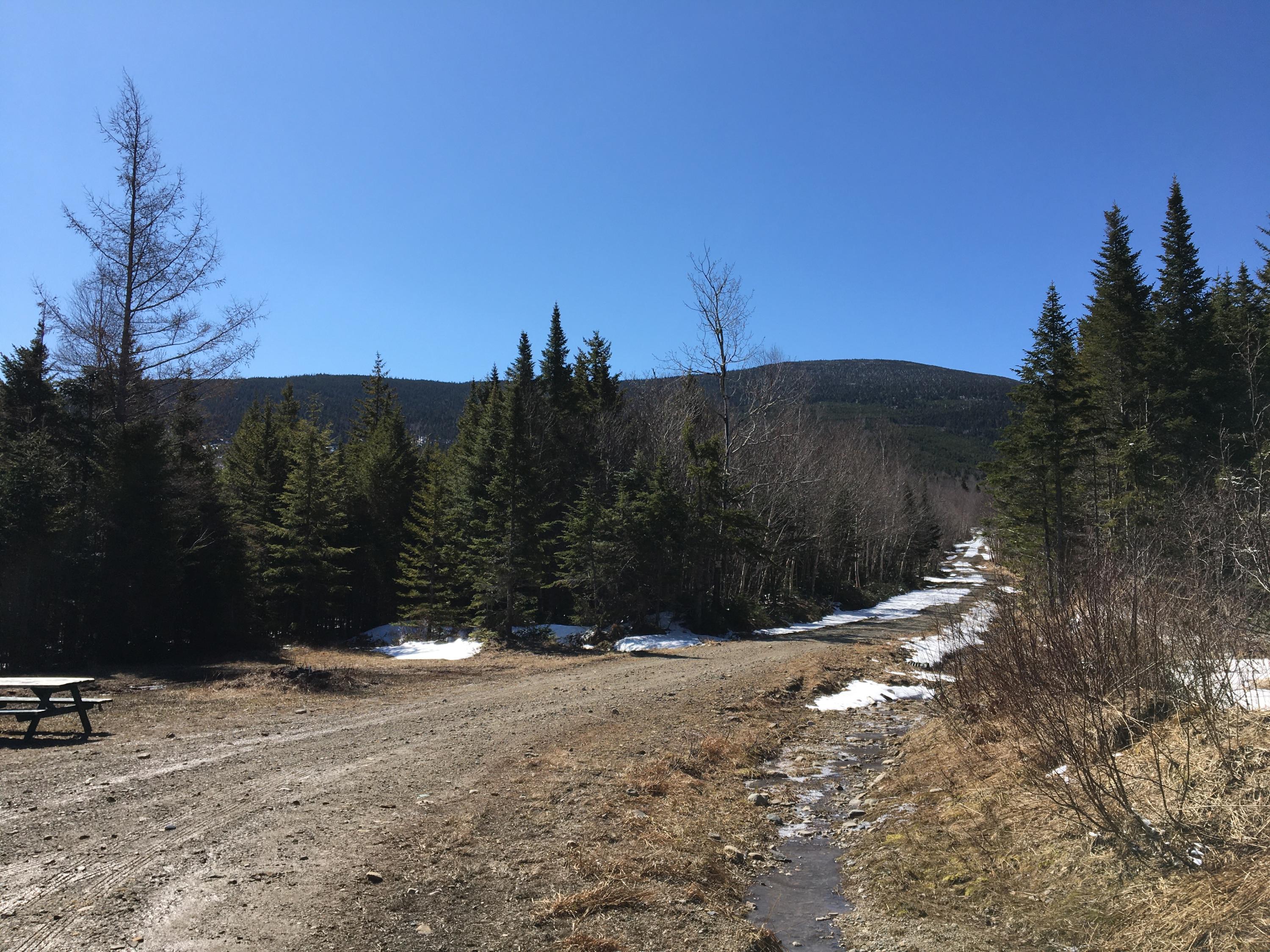 Lot 8 East Lot Road West Forks, ME 04985 - Photo 5 of 12 4F46618E-3D62-45DF-9061-CF84AFFCA26A