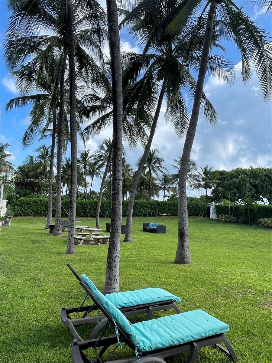 9195 Collins Avenue, Unit 1012 Surfside, FL 33154 - Photo 17 of 27 a view of a park with palm trees