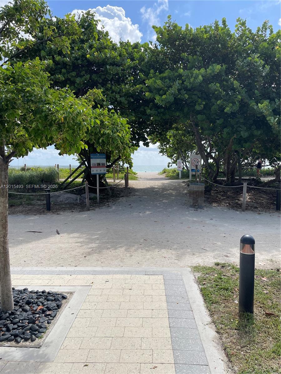 9195 Collins Avenue, Unit 1012 Surfside, FL 33154 - Photo 20 of 27 a view of a bench and trees in a park