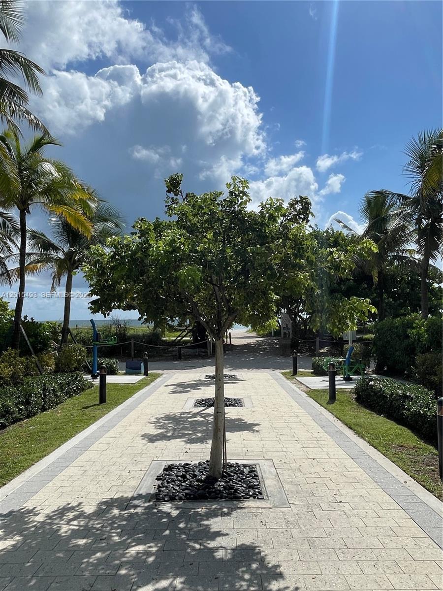 9195 Collins Avenue, Unit 1012 Surfside, FL 33154 - Photo 22 of 27 a park with lots of trees and plants