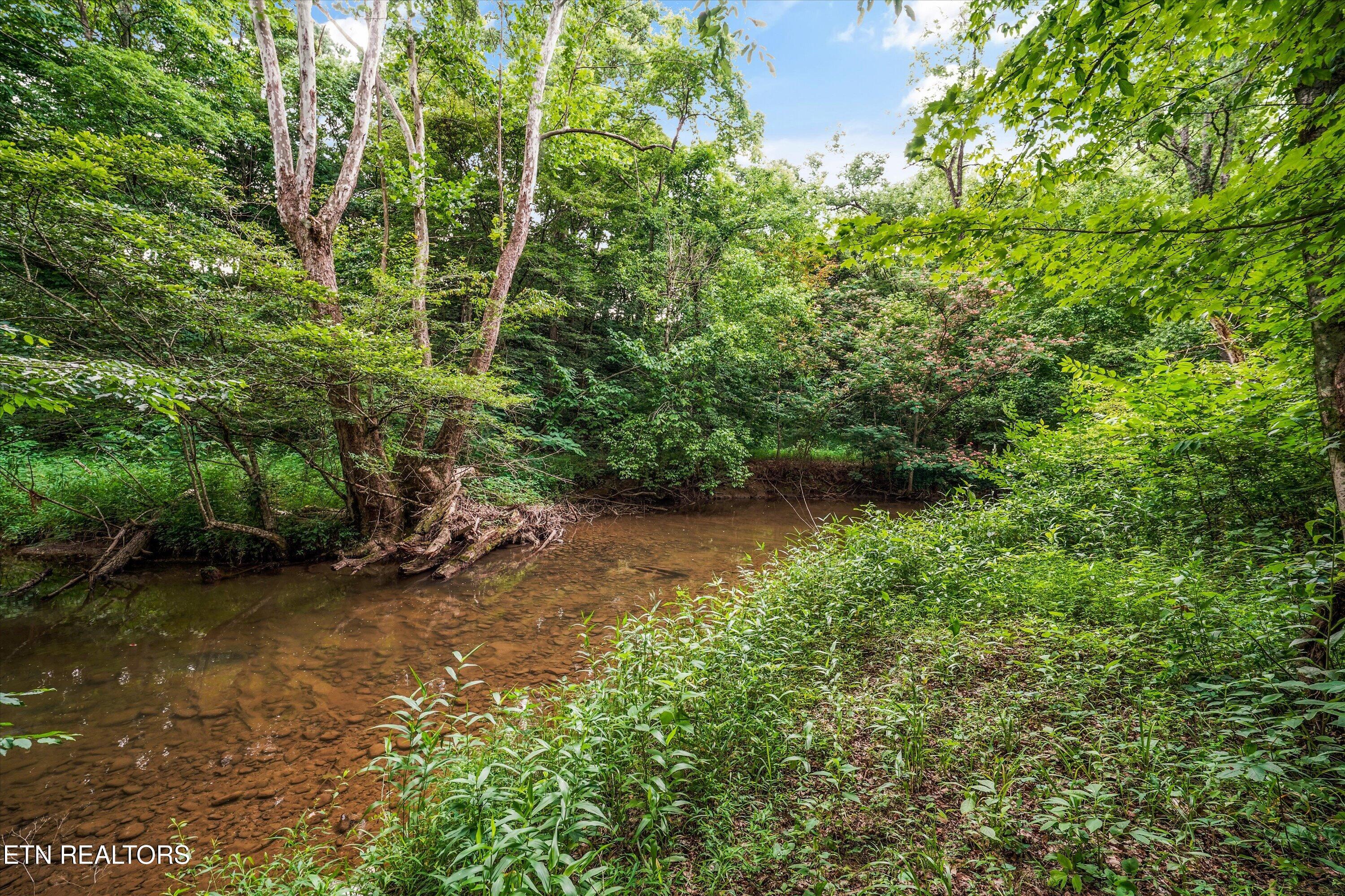 4845 Pearl Valley Road Sevierville, TN 37876 - Photo 11 of 40 35-4845 Pearl Valley Rd 40