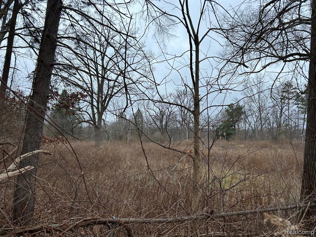 3010 Hunter Road Brighton, MI 48114 - Photo 2 of 4