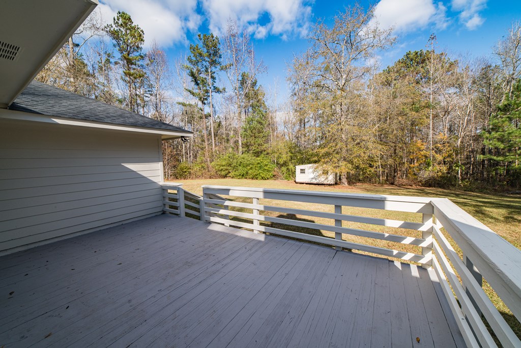 396 Ginn Lake Road Ellerslie, GA 31807 - Photo 10 of 43 Gallery Image 10