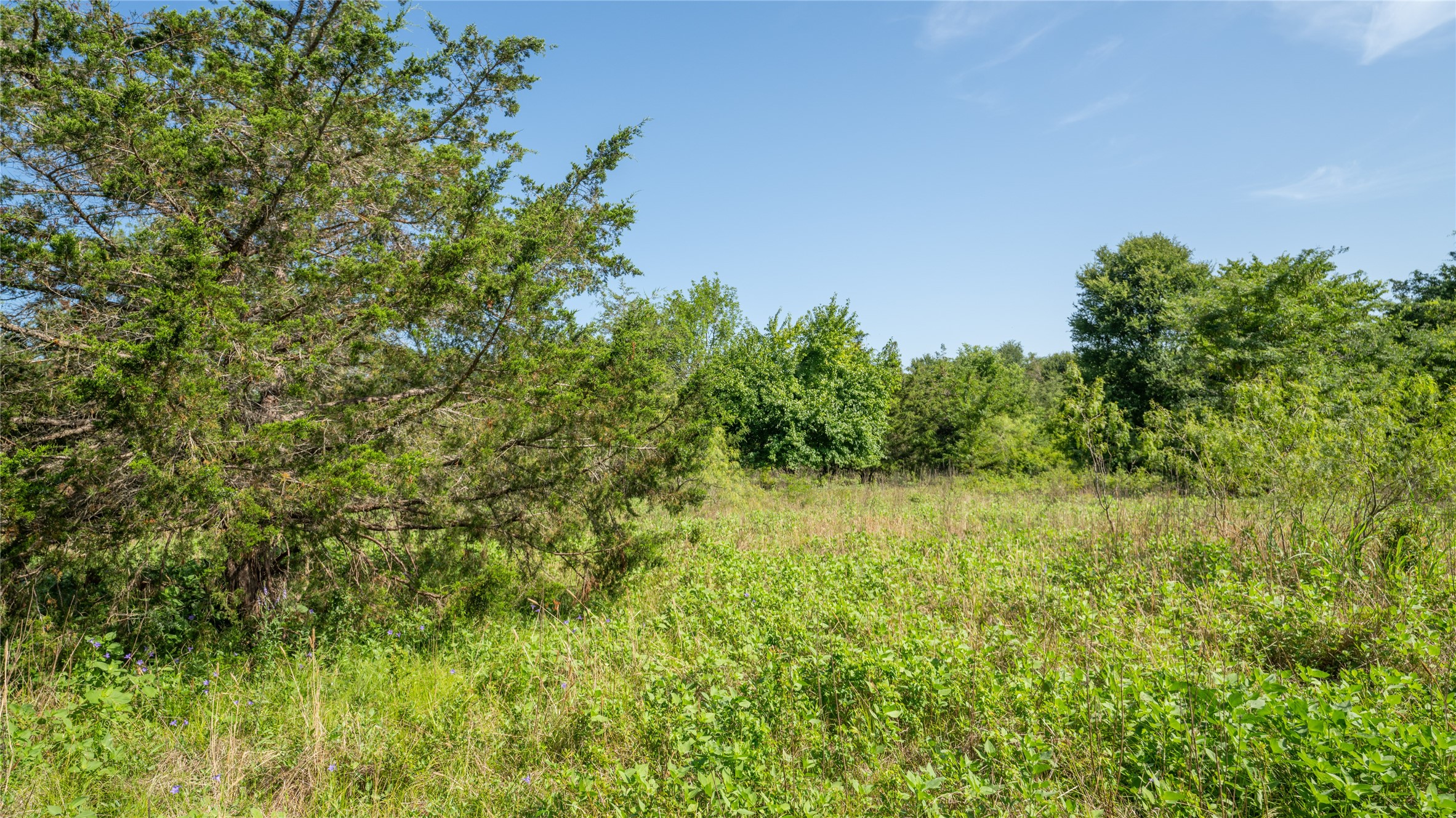 0 Tbd Cameron, TX 76520 - Photo 22 of 31