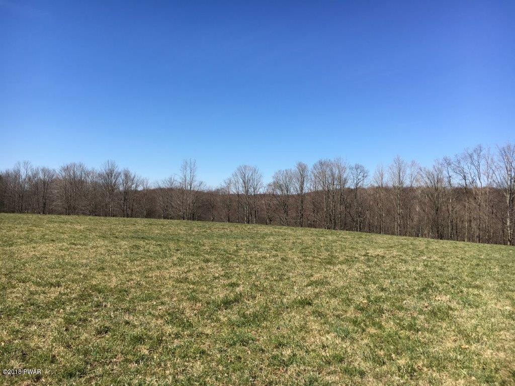 Lot L5 Sickler Pond Road Carbondale, PA 18407 - Photo 1 of 5