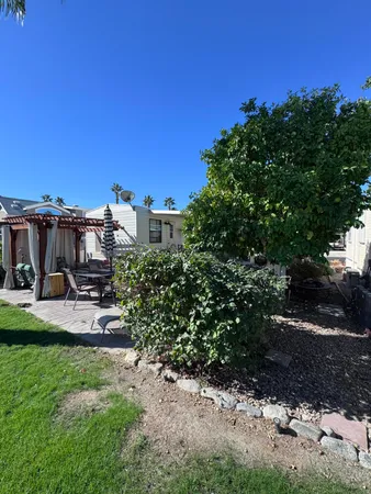a view of a yard with plants and a bench