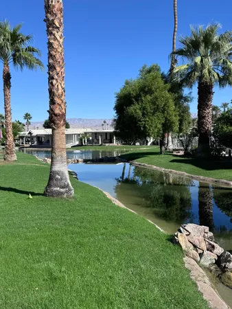 a view of a park with houses