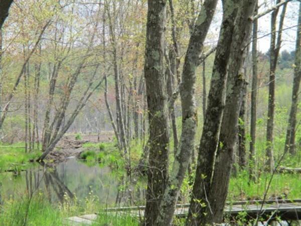 288 Ayer Road Harvard, MA 01451 - Photo 2 of 23