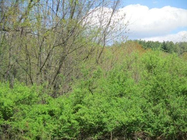 288 Ayer Road Harvard, MA 01451 - Photo 3 of 23