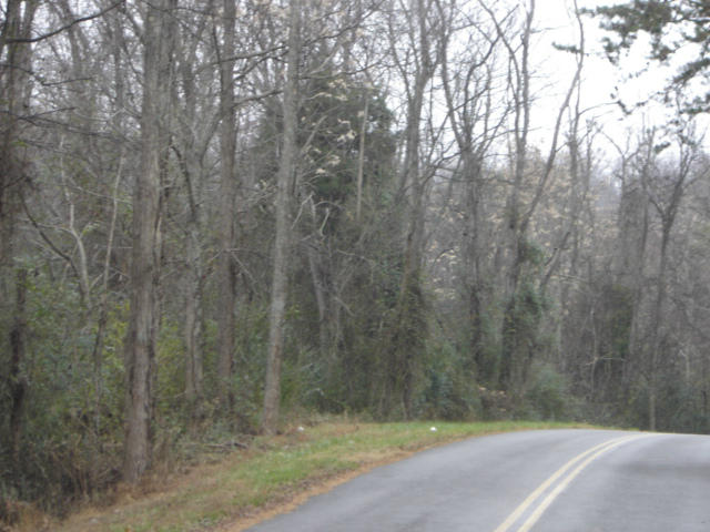 2 Monterey Road White Pine, TN 37890 - Photo 1 of 5 land photos 026