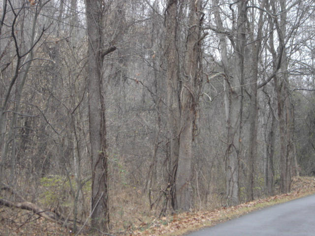 2 Monterey Road White Pine, TN 37890 - Photo 3 of 5 land photos 028