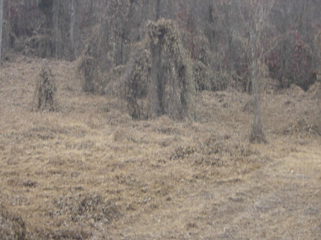 2 Monterey Road White Pine, TN 37890 - Photo 5 of 5 land photos 030
