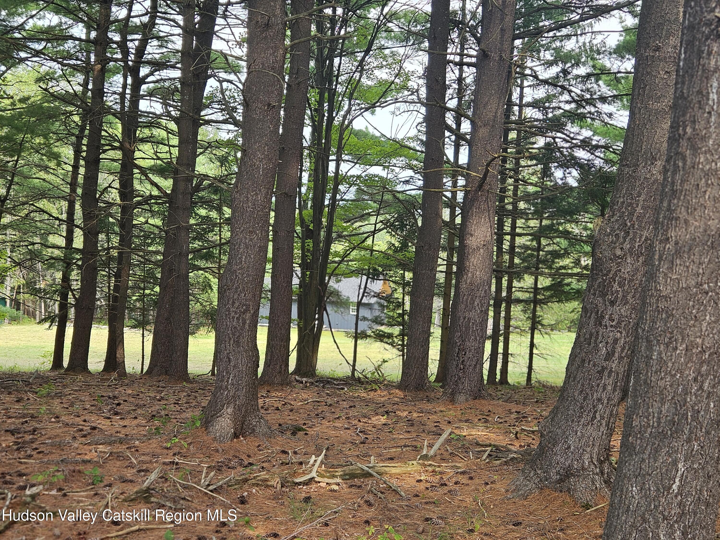 20 Reich Road Cornwallville, NY 12418 - Photo 44 of 53 Wooded Section of Land