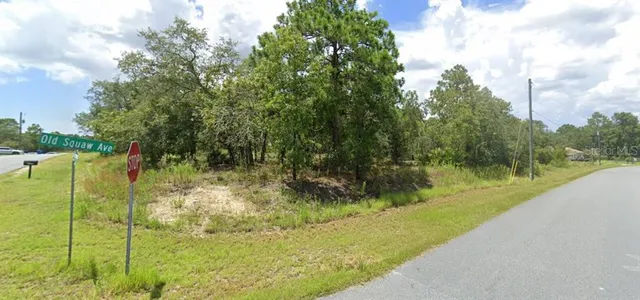 $59,000 | 0 Old Squaw Avenue, Weeki Wachee, FL 34614