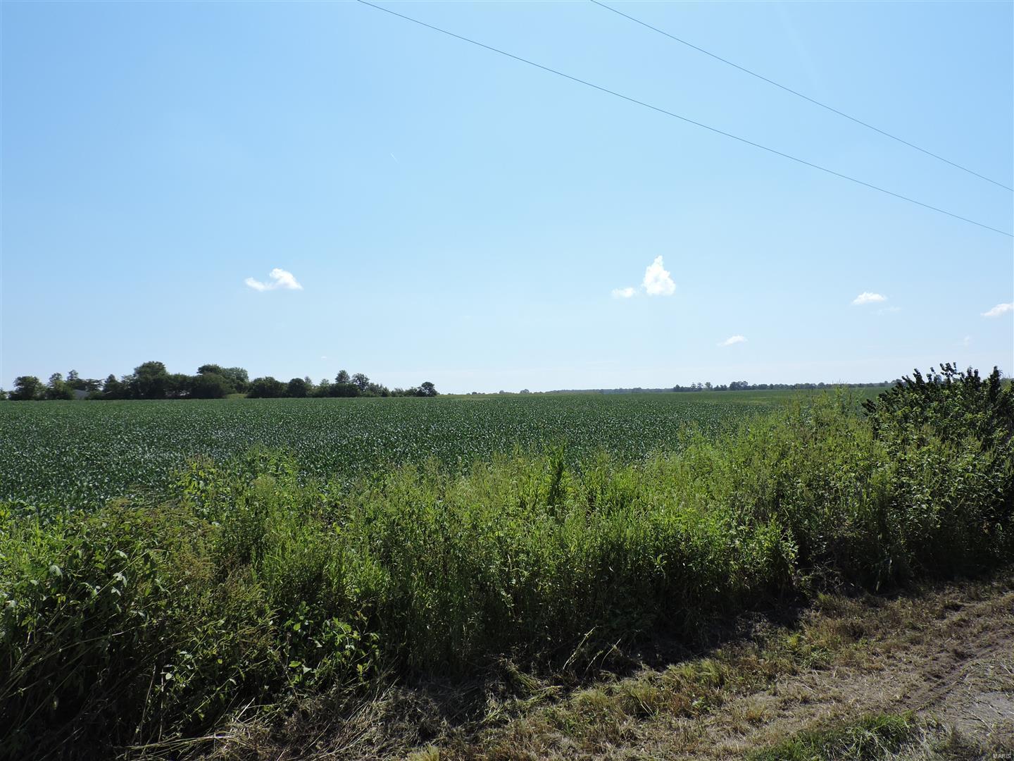 0 Dowell Road Vergennes, IL 62994 - Photo 12 of 16