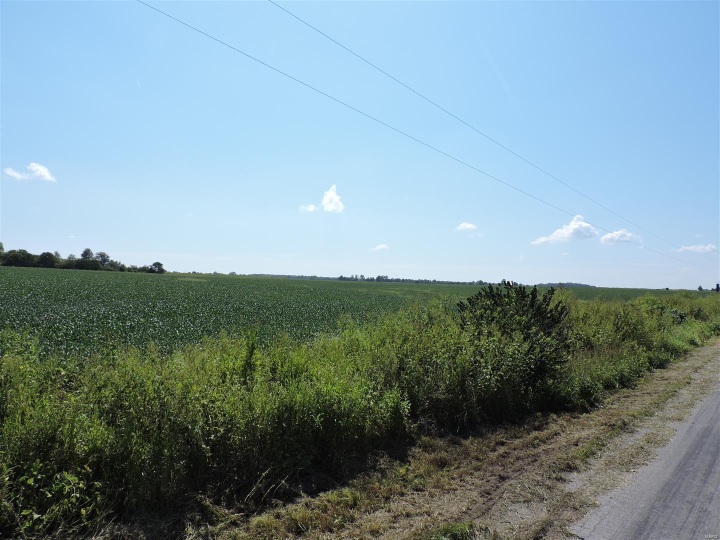 0 Dowell Road Vergennes, IL 62994 - Photo 13 of 16