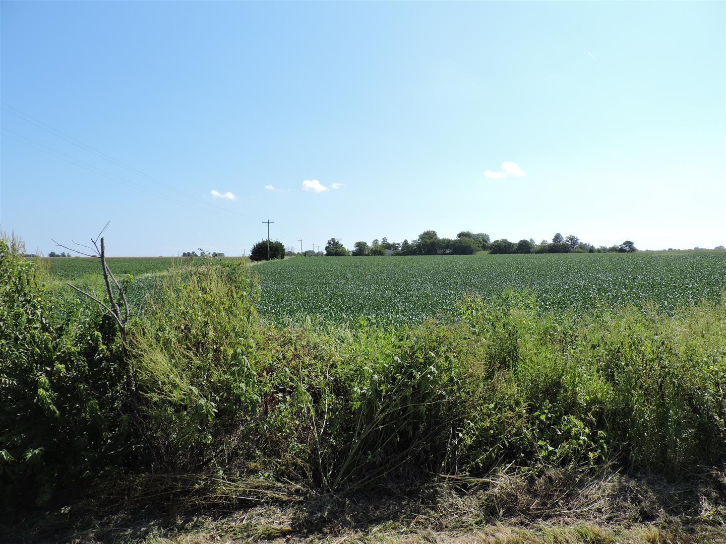 0 Dowell Road Vergennes, IL 62994 - Photo 14 of 16