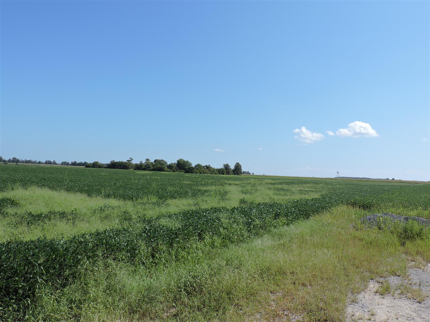 0 Dowell Road Vergennes, IL 62994 - Photo 15 of 16