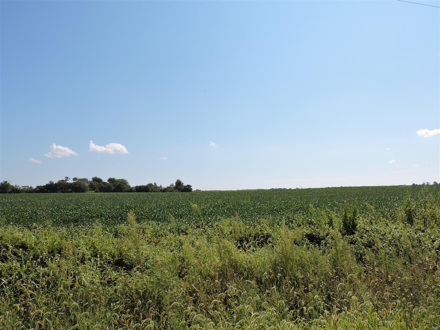 0 Dowell Road Vergennes, IL 62994 - Photo 3 of 16