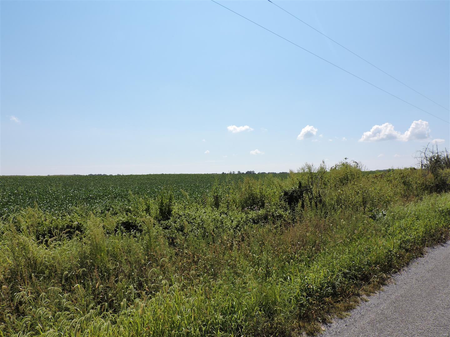 0 Dowell Road Vergennes, IL 62994 - Photo 4 of 16