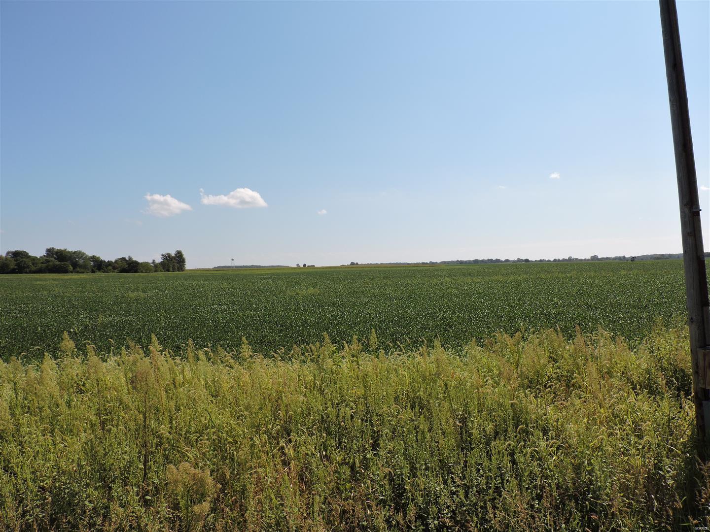 0 Dowell Road Vergennes, IL 62994 - Photo 5 of 16