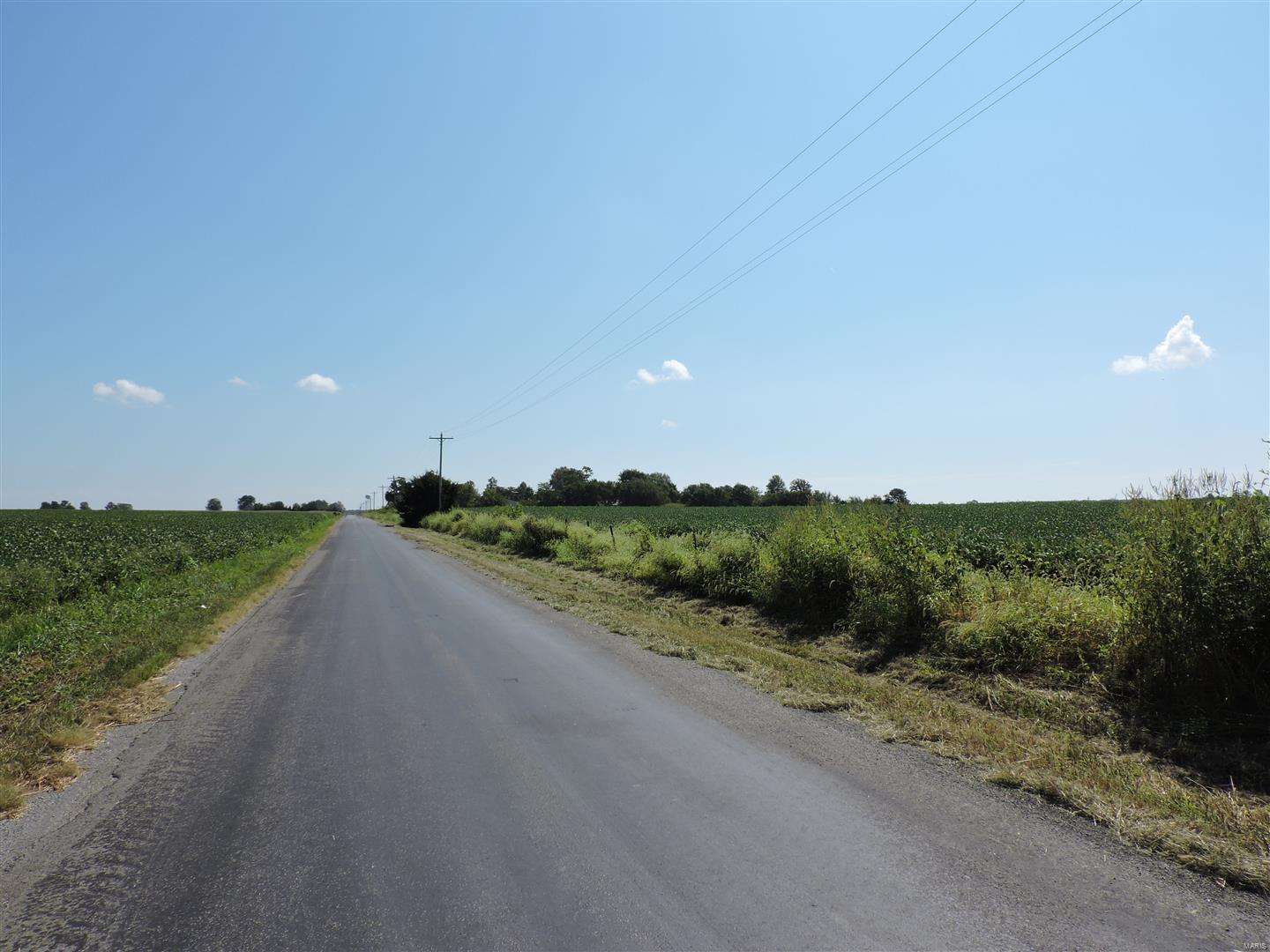 0 Dowell Road Vergennes, IL 62994 - Photo 9 of 16