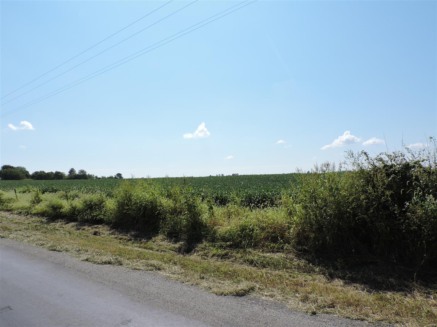 0 Dowell Road Vergennes, IL 62994 - Photo 10 of 16