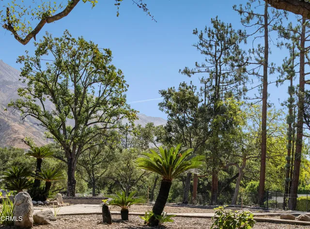 a view of road with yard and large trees