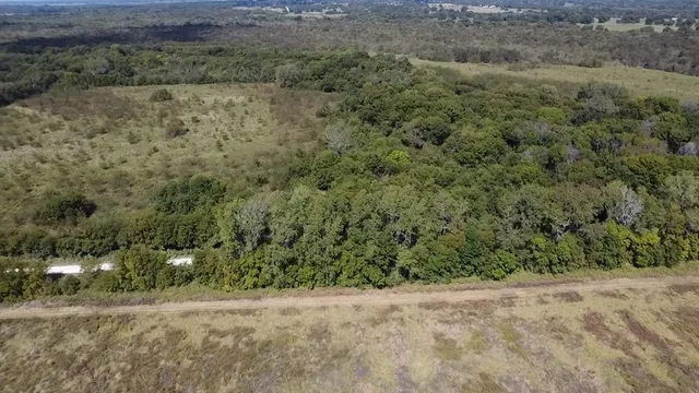 a view of a field with a tree