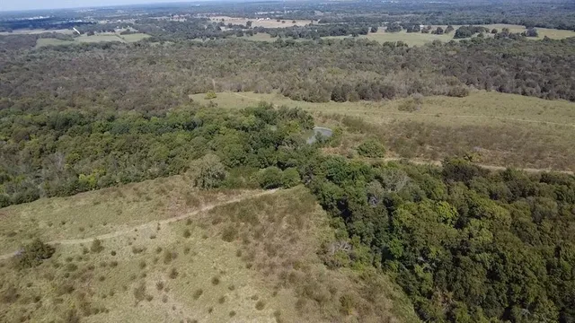 an aerial view of forest
