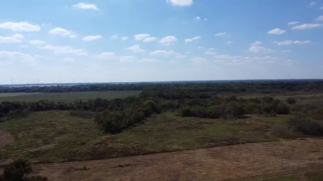 a view of a dirt road with large trees