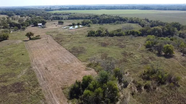 a view of a dry yard with trees