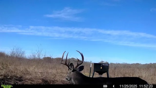 a view of sunset and yard