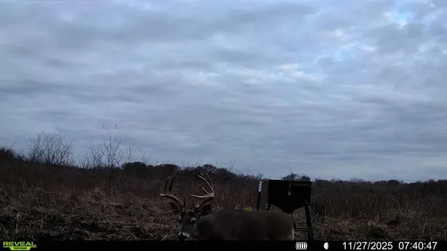 a view of city and mountain