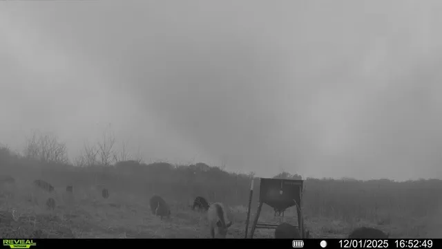 $6,100,000 | 3160 Southwest Dawson Tx 76639, Dawson, TX 76639