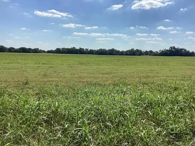 a view of an ocean and beach