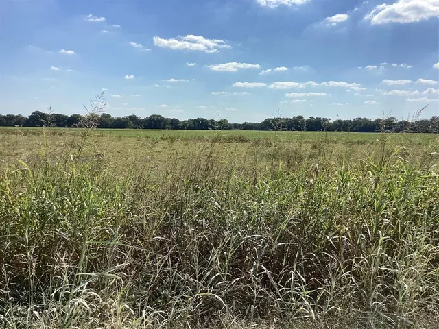 a view of a lake from a yard