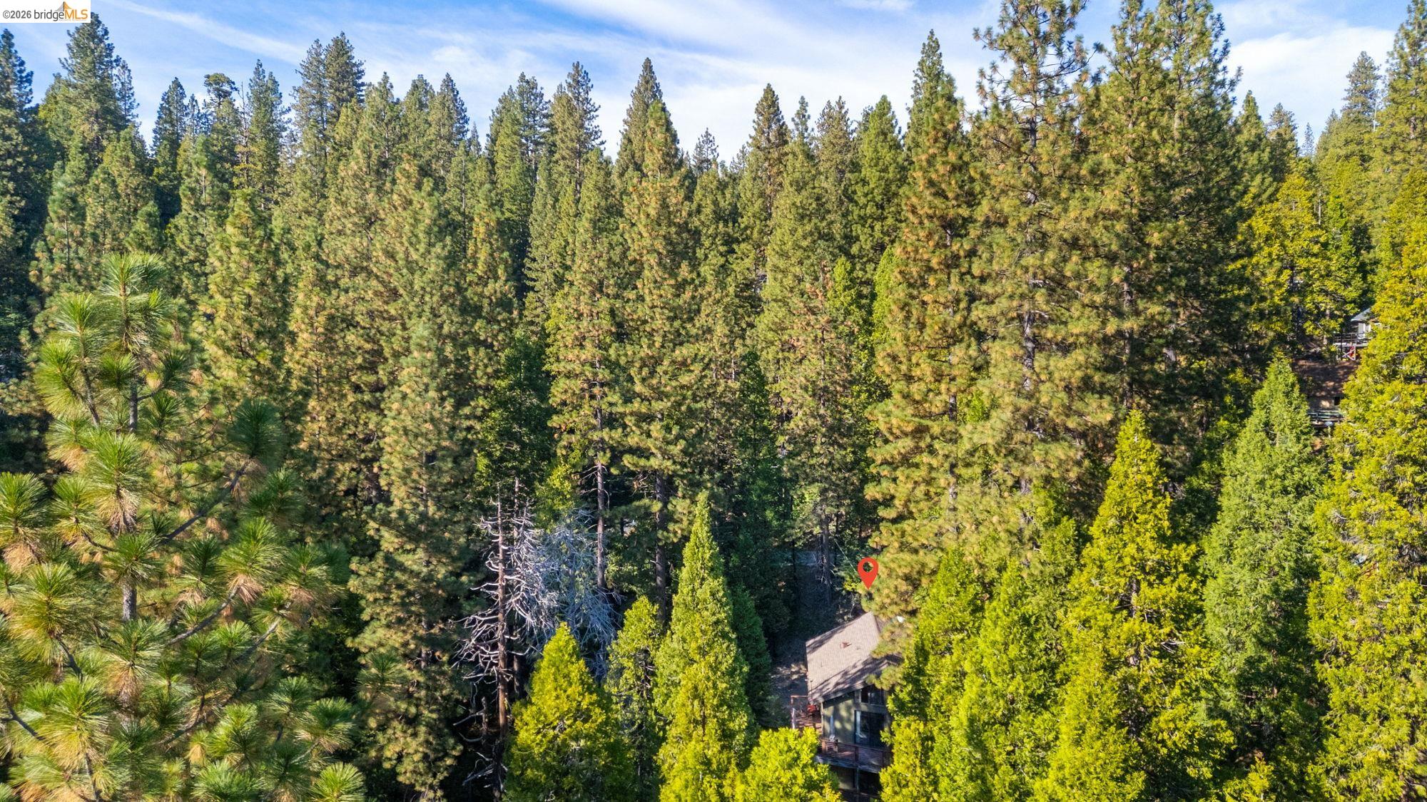 26570 Crystal Road Long Barn, CA 95335 - Photo 31 of 39 Wooded property featuring a dense arrangement of mature evergreen trees and a partial roofline