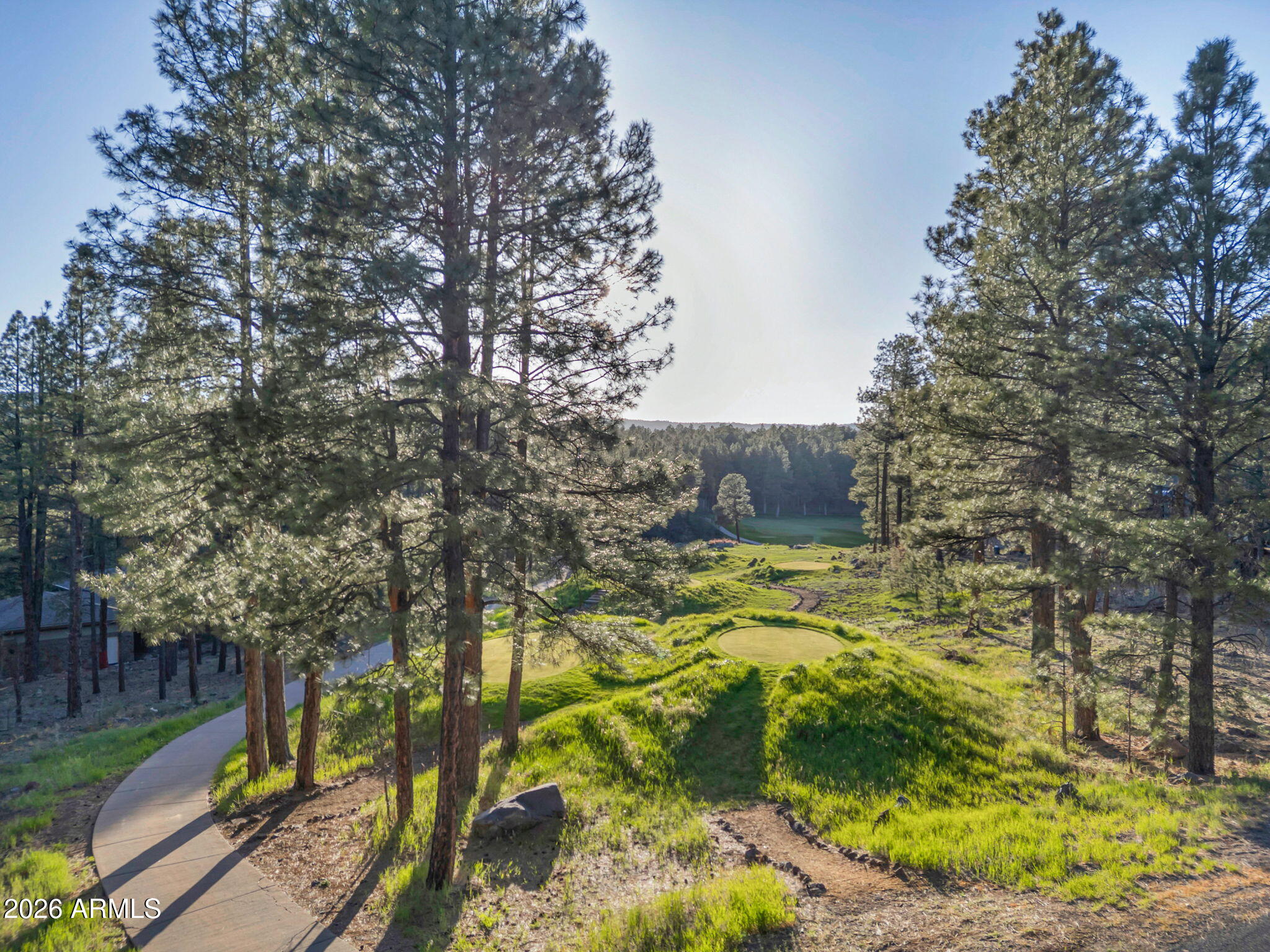 4384 Griffiths Spring Flagstaff, AZ 86005 - Photo 39 of 60 13th Hole