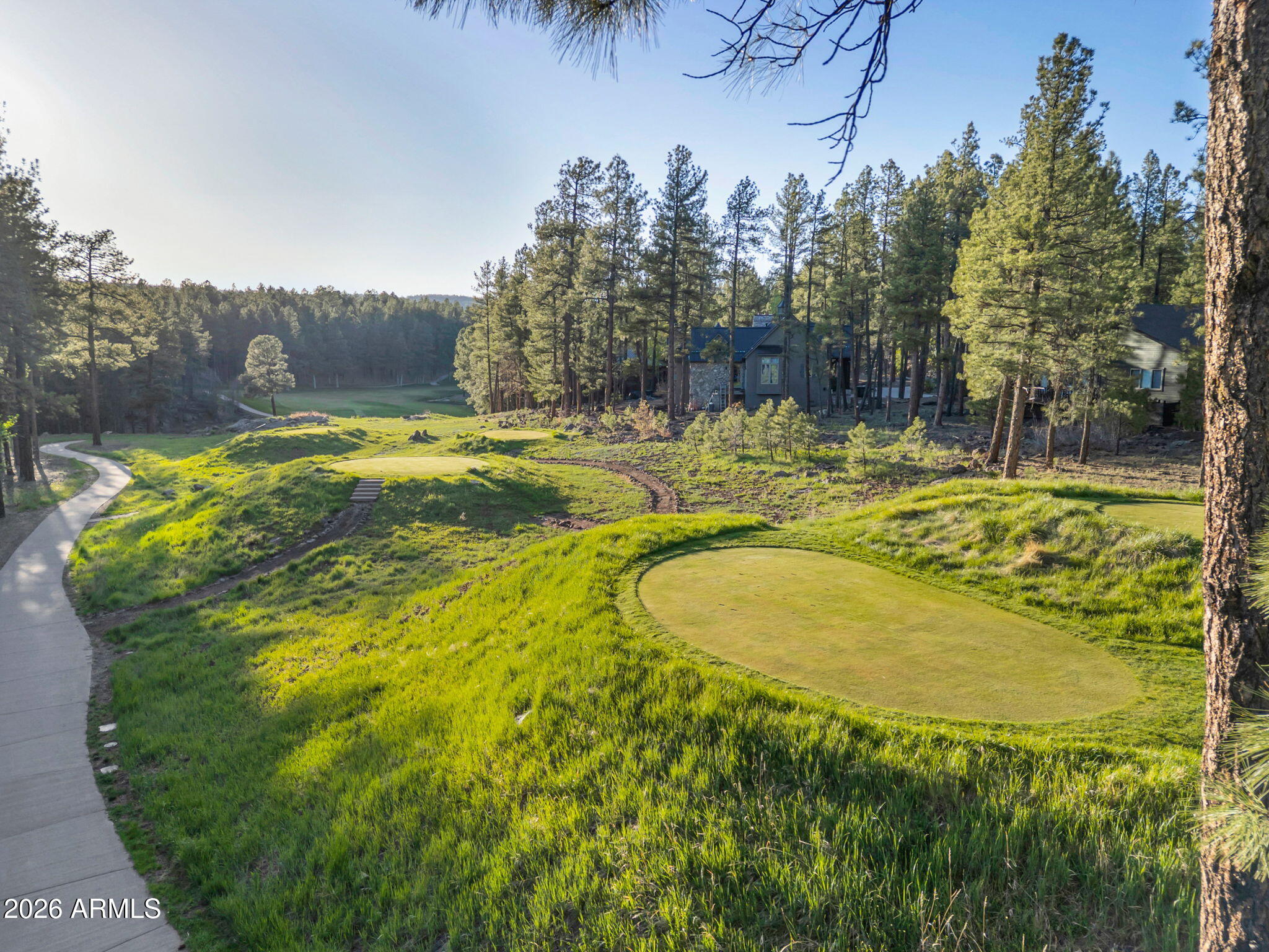 4384 Griffiths Spring Flagstaff, AZ 86005 - Photo 40 of 60 13th Hole